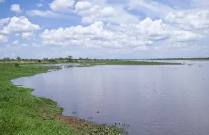 Malawi: Africa; Malawi; Shire river; Shoreline along