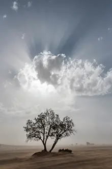 Wind: Africa, Morocco, Erg Chebbi. God rays in clouds