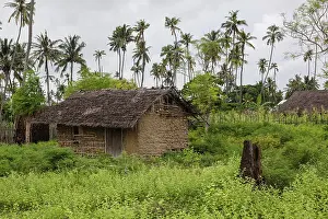 Thatch: Africa, Mozambique, Quirimba Island. Traditional