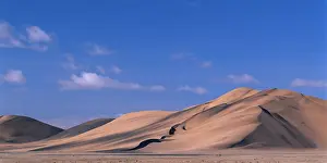 Windswept: Africa, Namibia, Namib Desert, Setting sun