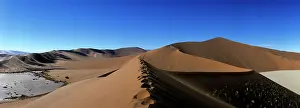 Parched: Africa, Namibia, Namib Nauklift National