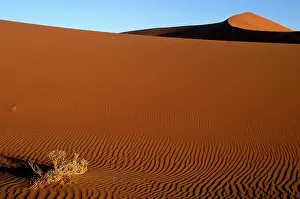 Soothing: Africa, Namibia, Namib Naukluft National