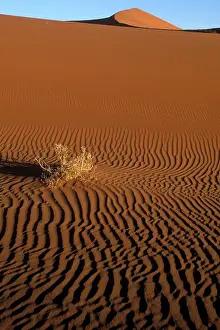 Soothing: Africa, Namibia, Namib Naukluft National