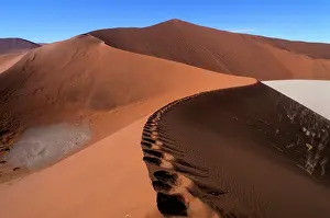 Division: Africa, Namibia, Namib Naukluft National