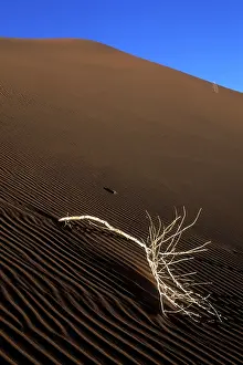 Soothing: Africa, Namibia, Namib Naukluft National