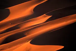 Soothing: Africa, Namibia, Namib Naukluft National
