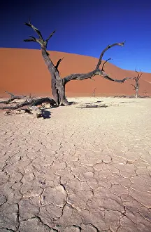 Gavriel: Africa, Namibia, Sossusvlei Region. Sand