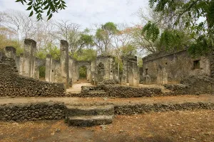 Archaelogy: Africa - Ruins of Great Mosque Gedi in the Arabuko-Sokoke