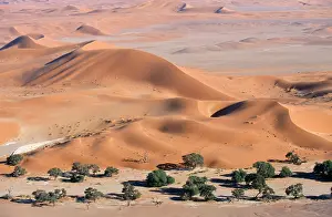 Alyssa Giustozzi: Africa - sandhills