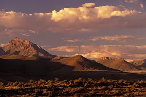 Karoo: Africa, South Africa, Eastern Cape, Nieu