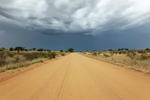 Track: Africa, South Africa, Kgalagadi Transfrontier Park, Kgalagadi, N
