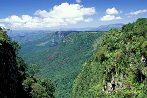 Untouched: Africa, South Africa, Mpumalanga, Klein