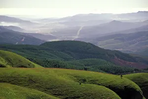 Klein: Africa, South Africa, Mpumalangla, Long