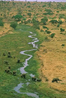Toft: Africa, Tanzania. Aerial view of african
