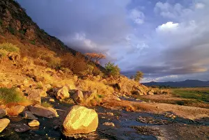Gavriel: Africa, Tanzania, Lake Maniara National