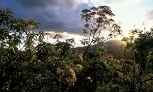 Nightfall: Africa, Tanzania, Ngorongoro Conservation