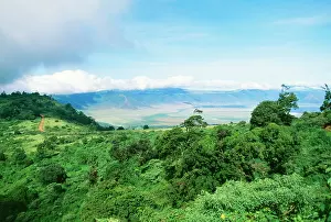 Craters: AFRICA, Tanzania - Ngorongoro Crater