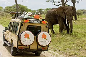 Driving: Africa. Tanzania. Photographers capture