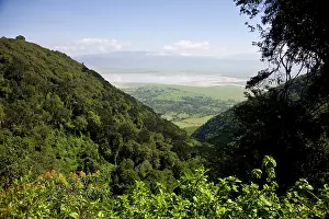 Leading: Africa. Tanzania. View on the road leading