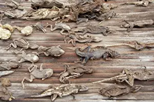 Ritual: Africa, Togo. Lome Voodoo Fetish Market