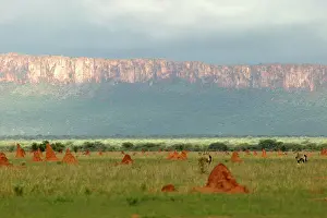 Waterberg: Africa - Waterberg plateau