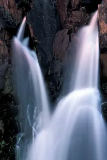 Streaming: Africa, Zambia, Mosi-Oa-Tunya National Park