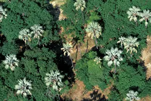 Zambezi: Africa, Zambia, Mosi-Oa-Tunya National Park