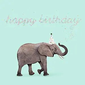 161118: African Elephant, wearing Birthday party hat
