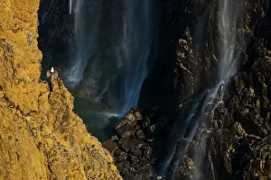 Zimbabwe: African Fish Eagle (Haliaeetus vocifer) on cliff