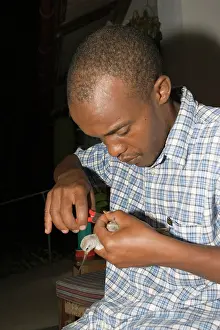 Handler: African ornithologist attaching ring to bird caught