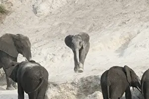 Rivi Re: Afrique, Afrique australe, Bostwana, Parc national