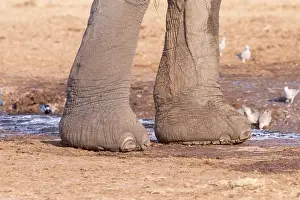 Plan: Afrique, Afrique australe, Bostwana, Parc national