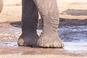 Plan: Afrique, Afrique australe, Bostwana, Parc national