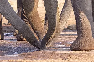 Plan: Afrique, Afrique australe, Bostwana, Parc national