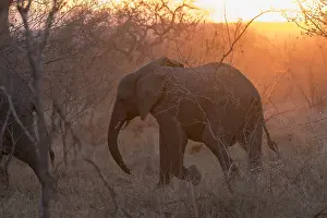 Coucher: Afrique, Afrique australe, Republique Sud Africaiine