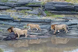 Rochers: Afrique, Afrique de l'Est, Kenya, Reserve nationale du Masai
