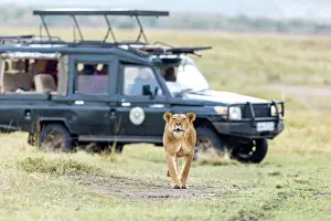 Tourisme: Afrique, Afrique de l'Est, Kenya, Reserve nationale du Masai