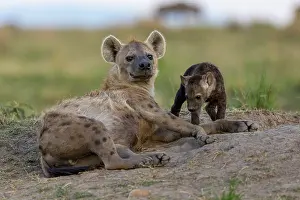 Tendresse: Afrique, Afrique de l'Est, Kenya, Reserve nationale du Masai