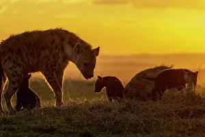 Coucher: Afrique, Afrique de l'Est, Kenya, Reserve nationale du Masai