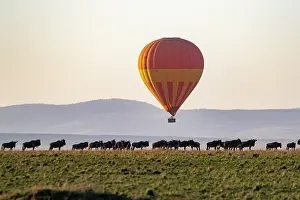 Grandes: Afrique, Afrique de l'Est, Kenya, Reserve nationale du Masai