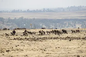 Recherche: Afrique, Ethiopie, Valle du Rift, Debre Libanos