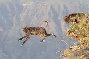 Plateaux: Afrique, Ethiopie, Valle du Rift, Debre Libanos