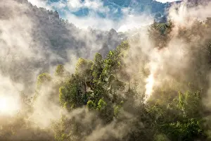 Virunga: Afrique, Ouganda, Collines dAfrique centrale, La