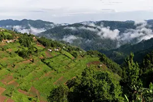 Cultures: Afrique, Ouganda, Mgahinga, Le parc national des