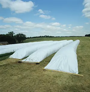 Effluent: Ag-bags storing grass silage