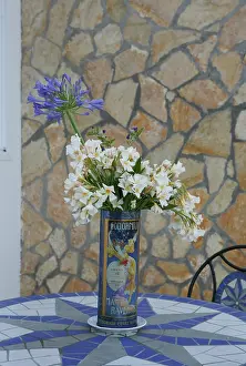 Blended: Agapanthus