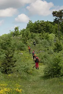 Agents: Agents cleaning a tourist trail in spring maintenance