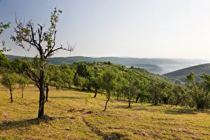 Geomorphology: Aggtelek national park, view of the Selce