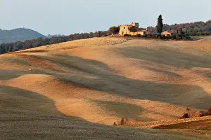 D Orcia: Agricultural field at sunset, Val d'Orcia