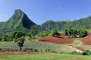 Arable: Agricultural land, arable land, cultivation, in
